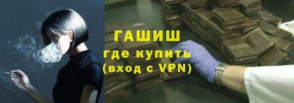 спайс Корсаков