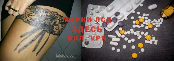 спайс Корсаков