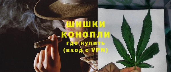 спайс Корсаков