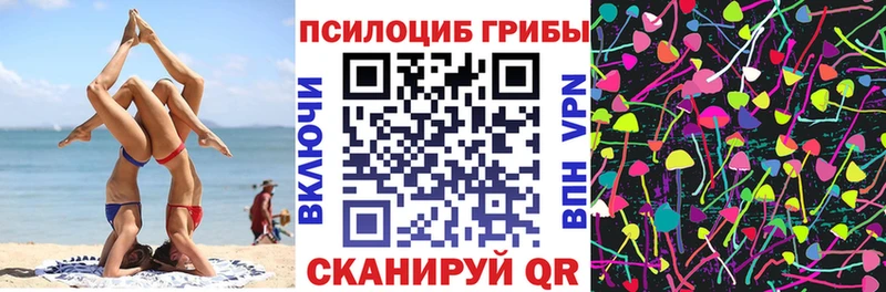 это официальный сайт  что такое наркотик  Морозовск  Галлюциногенные грибы Psilocybine cubensis 