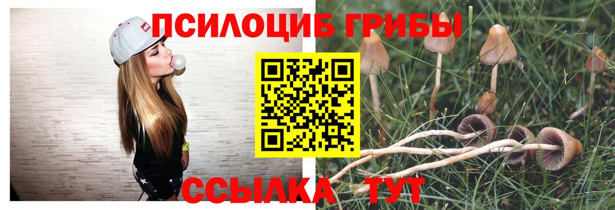 Галлюциногенные грибы MAGIC MUSHROOMS Морозовск