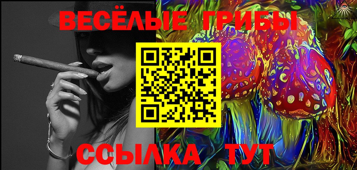 Галлюциногенные грибы Psilocybe  Галлюциногенные грибы Cubensis  Морозовск  Вход с VPN 